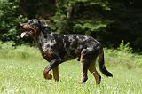 BEAUCERON 803